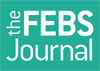 go to The FEBS Journal