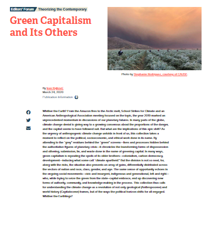 Screenshot of the online essay series "Green Capitalism and Its Others" edited by Ivan Rajkovic. 