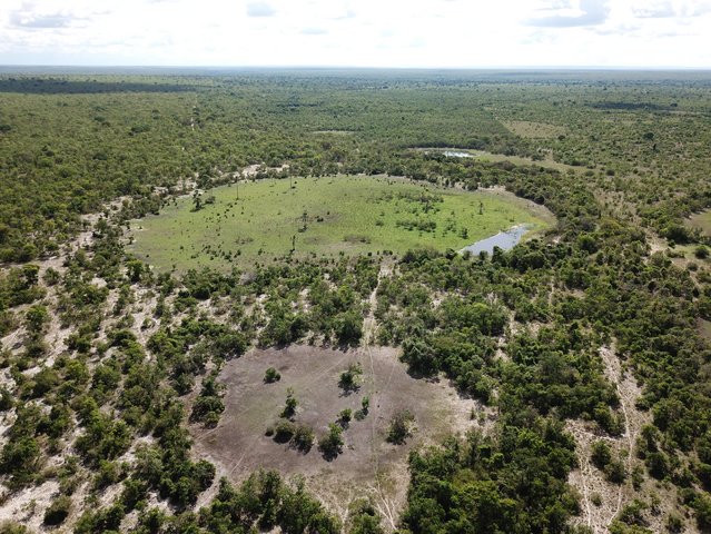 Picture of a "fairy circle" in the São Francisco Basin in Brazil.