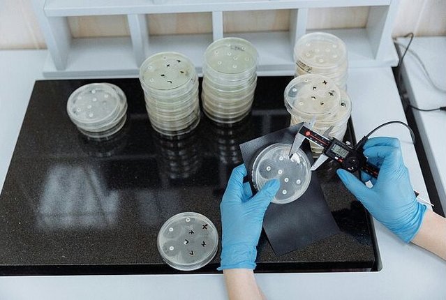 Working at a laboratory