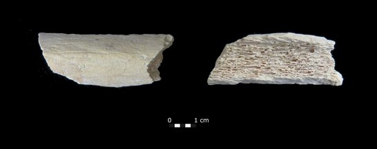 Picture of Star 1 before the human bone was CT scanned, radiocarbon dated and underwent ancient DNA extraction.