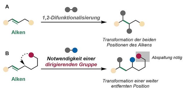 Alkene-Struktur