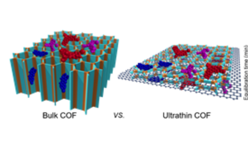 © Changxia Li et al.