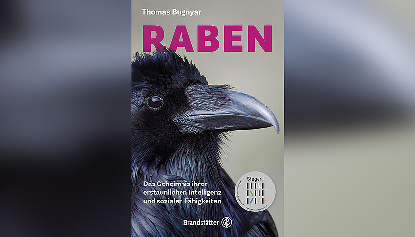© Brandstätter Verlag Das Buchcover zeigt einen Raben.