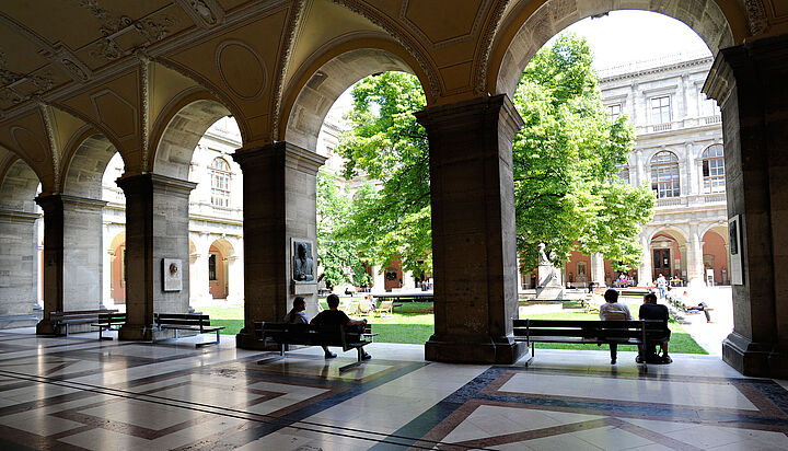 the sunny arcade court