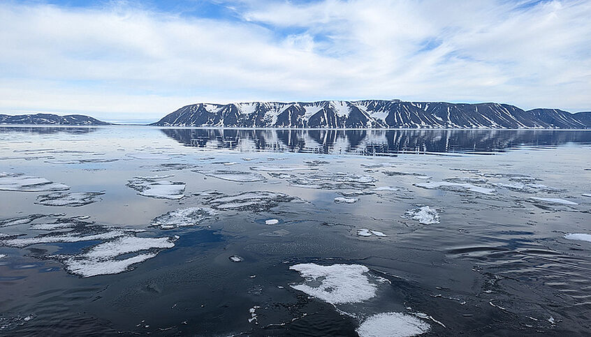 © Pavla Debeljak The Arctic Ocean off the north-eastern shore of Greenland