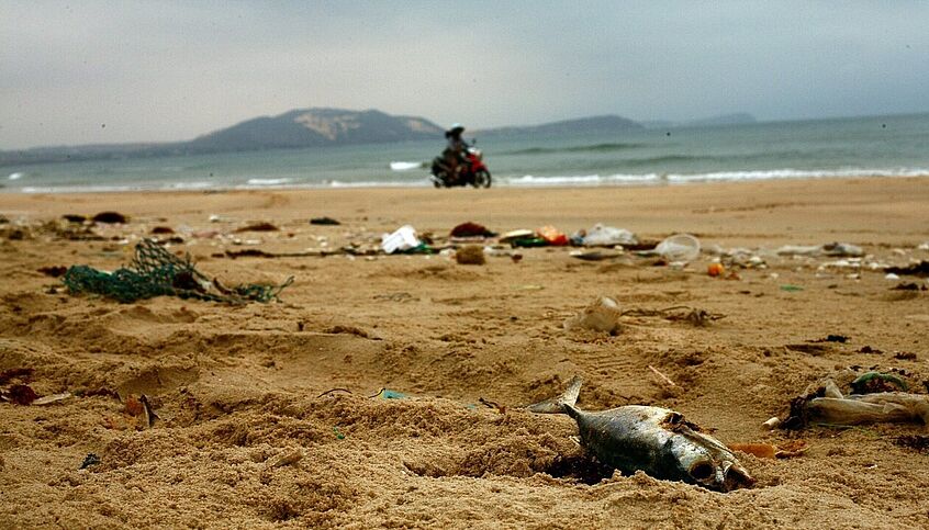 Polluted beach with plastic and litter. There is also a dead fish lying on the sand.