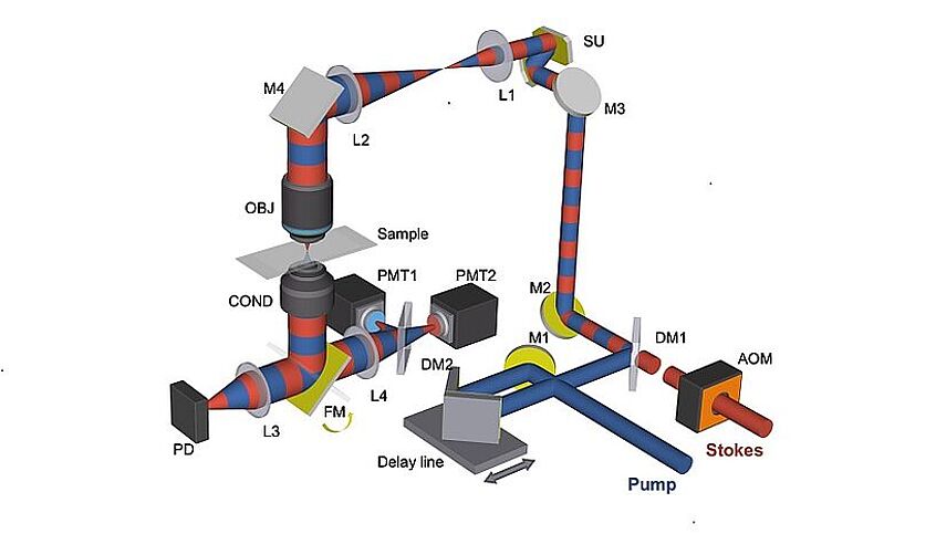 Schematischer Aufbau des SRS-Fluoreszenz-Mikroskops