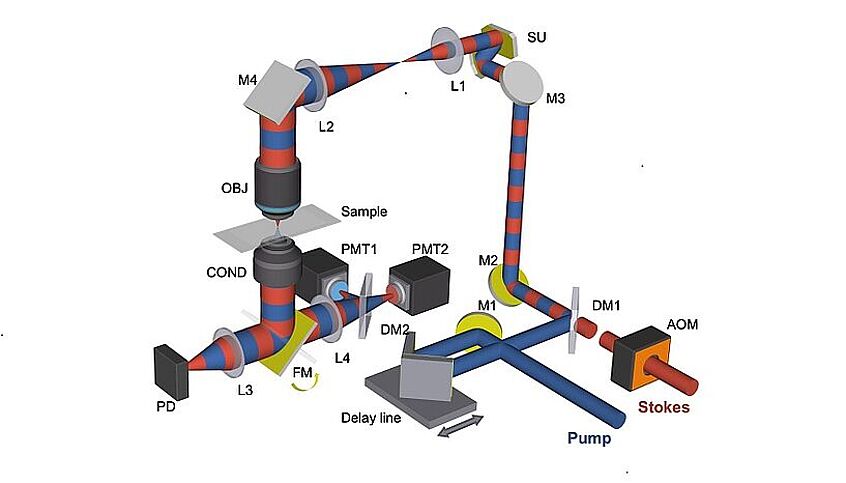 © Xiaowei Ge und Ji-Xin Cheng Schematischer Aufbau des SRS-Fluoreszenz-Mikroskops