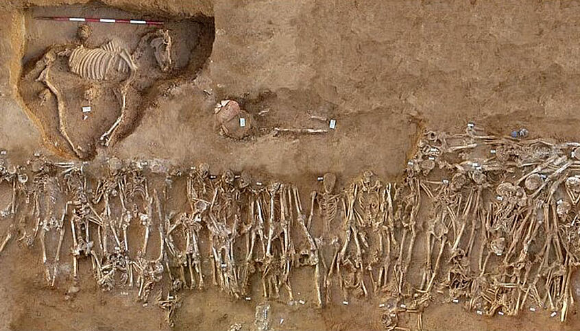 C: Stefano Vassallo, Soprintendenza Archeologica di Palermo Foto eines Massengrabs aus der Schlacht von Himera im Jahr 409 v. u. Z. - das Skelett eines Pferdes und mehrere menschliche Skelette sind in einer Ausgrabungsstätte zu sehen.